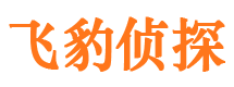 长岭私家侦探公司